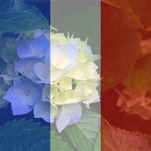 Meet your Posher, Florence